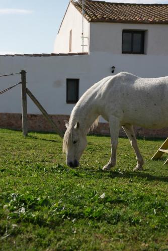 La Finestra del Delta