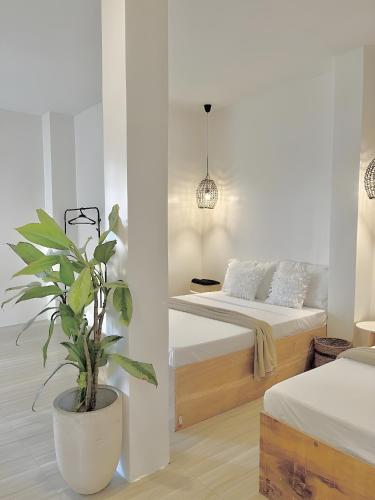 NEW Modern Suite near Airport & Beach