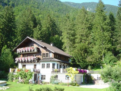Appartment Elisabeth Stadler - Obertraun