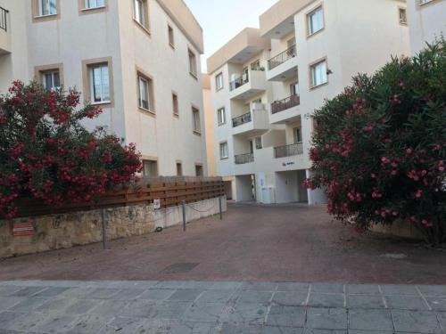 Ancient Paphos - cozy place next to the sea, marina, historical sites, buses, mall, and market