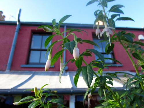 Western House B and B