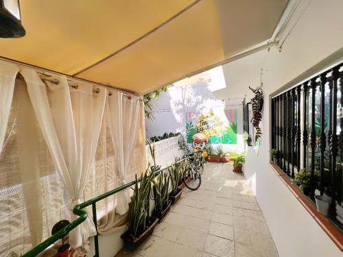 Tenerife Experience Hostel