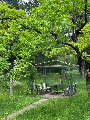Hostel Botanical Garden