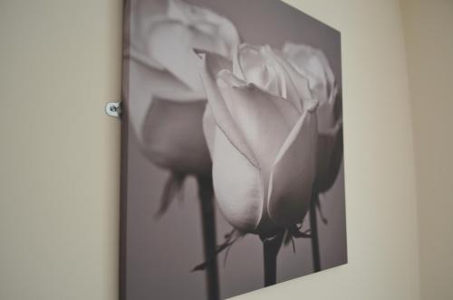 Sea Breeze Guest House