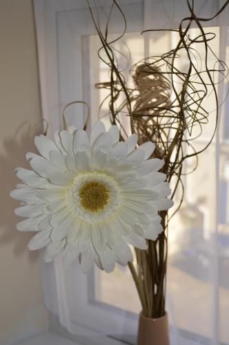 Sea Breeze Guest House