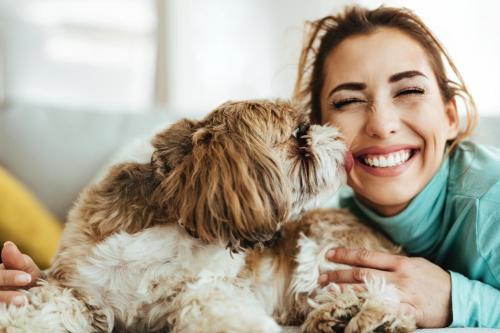 Revesz Etterem Hotel Es Rosa Spa