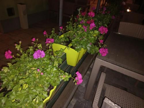 Apartments Valentino