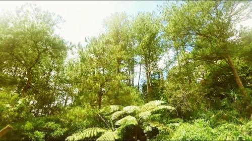 Cozy Millennium House