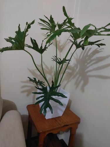 Cozy Millennium House