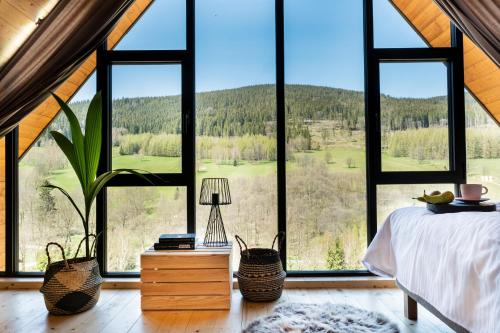 Osada Za gorami za lasami - Domki z widokiem na Snieznik