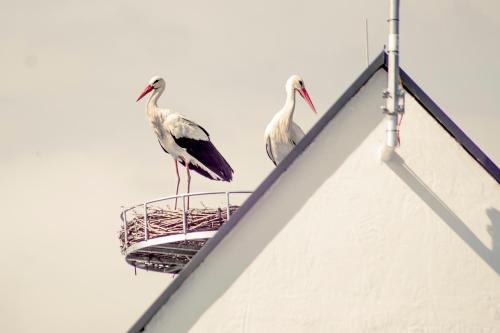 DASWEINBERG contactless check-in