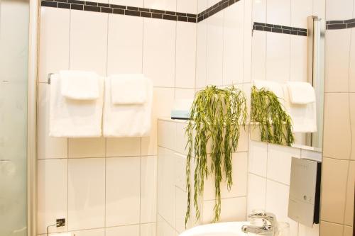 Palm Tree Hotel, Sure Hotel Collection by Best Western
