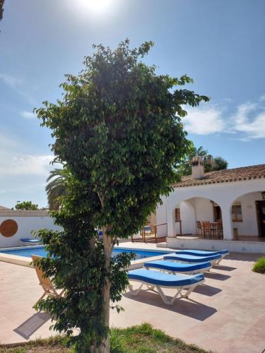 Zenia Hostel