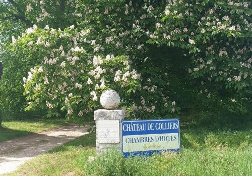 Chateau des Colliers