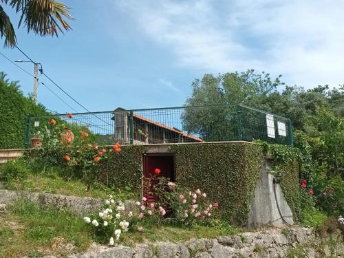 Quinta Da Penela