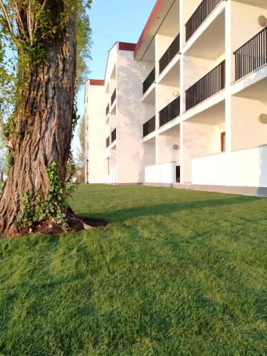 Seewirt & Haus Attila