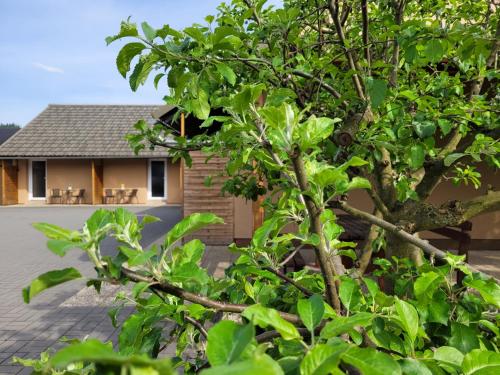 Velkolosinske Apartmany