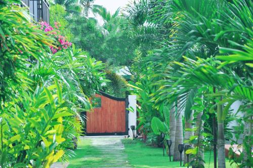 Tana Mysterious garden
