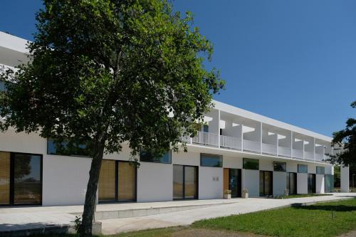 Hi Hostel Viana Do Castelo Pousada De Juventude