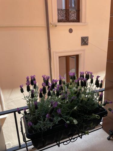 B & B Piazza Angioina