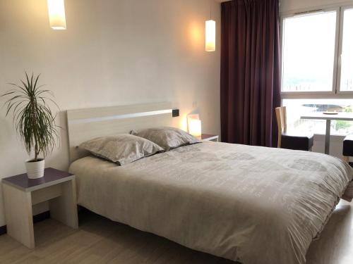 Family Saint Vincent - Studio 2 Pers - 100m gare Lourdes - WIFI