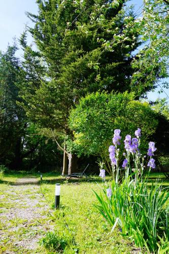 Green Home