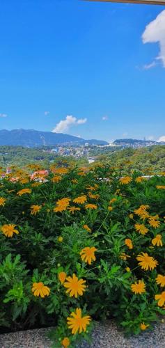 Bristle Ridge Condominium