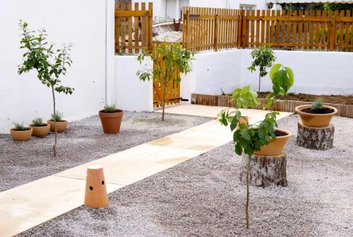 Apartamentos Sureda