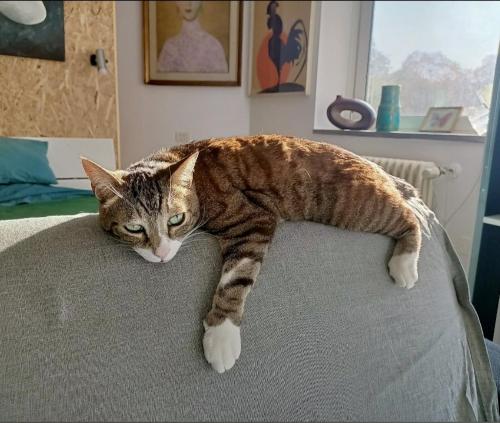 Casa di Stefy Sant'Orsola