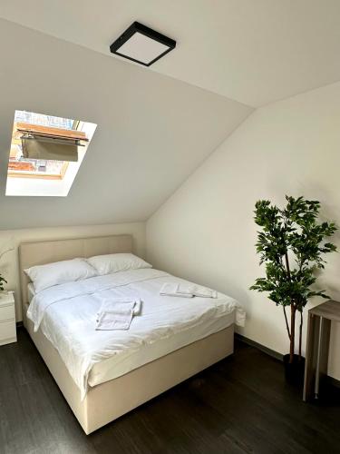 Kaptol Hostel