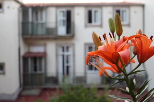 Dear Porto Guest House