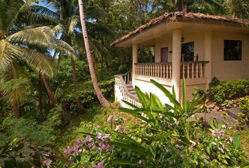 Sipalay Easy Diving and Beach Resort