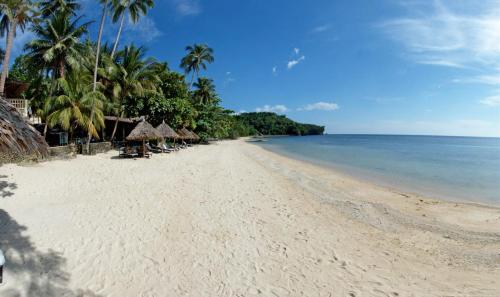 Sipalay Easy Diving and Beach Resort
