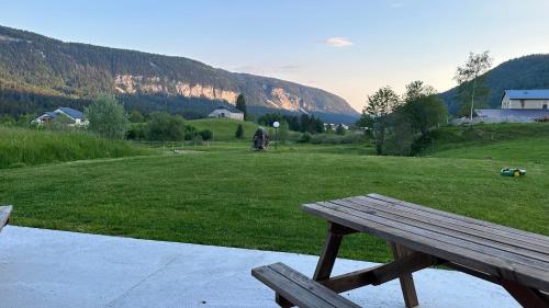 Les Chamois De La Combe En Haut
