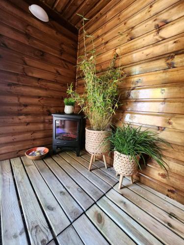 The Stable Annexe with hot tub & horses