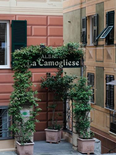La Camogliese