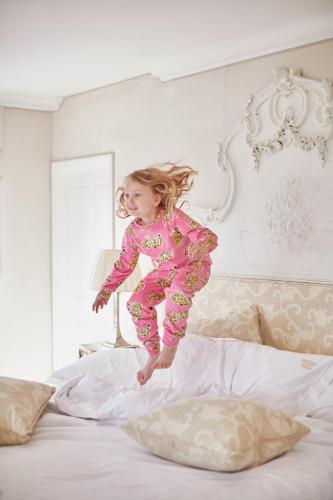 The Old Government House Hotel & Spa