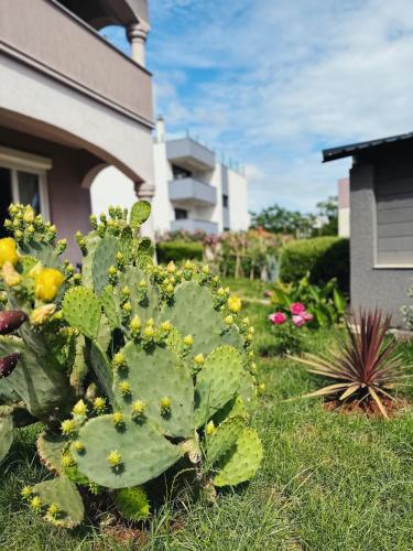 Apartments Vukalovic
