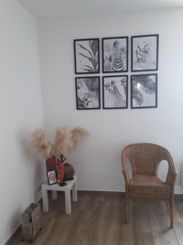 Veronique schouckens