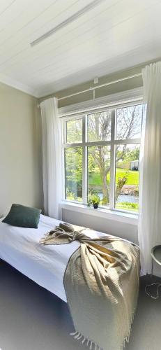 Guesthouse Arbol