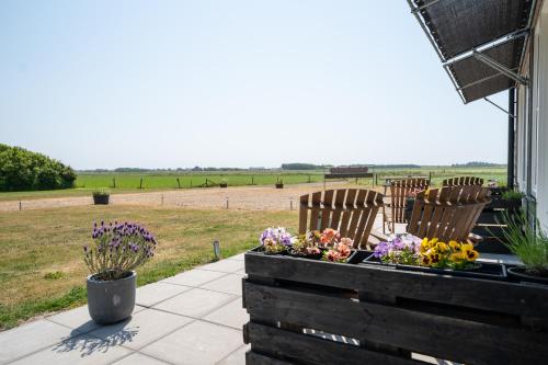 Johanneshoeve - de mooiste plek op Texel