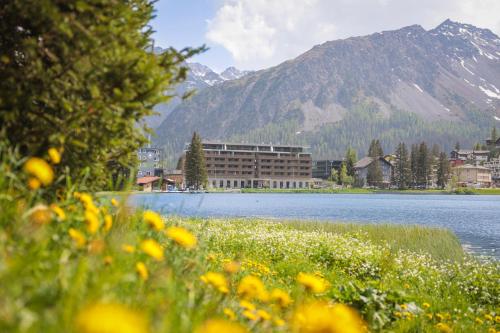 Aves Homebase Arosa