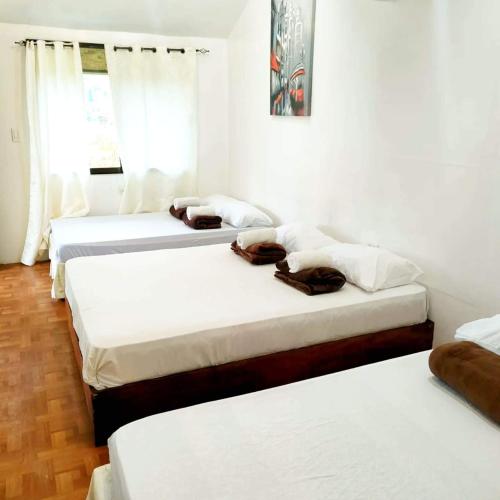 Siargao Tropic Hostel