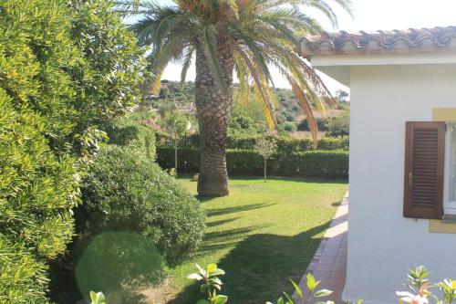 Le Bouganville