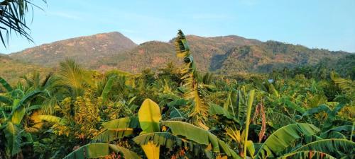 ERN Travellers Inn House in Mindoro