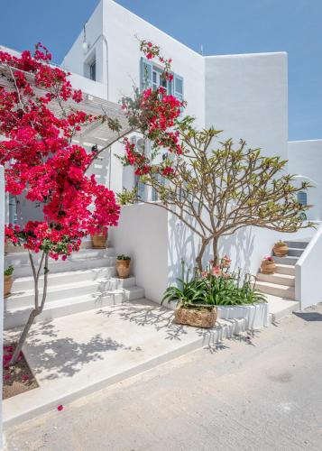 Anita Rooms & Apartments