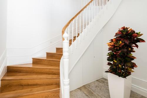 Avenida Viana Boutique Suites