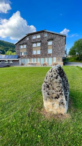 Les Chamois De La Combe En Haut