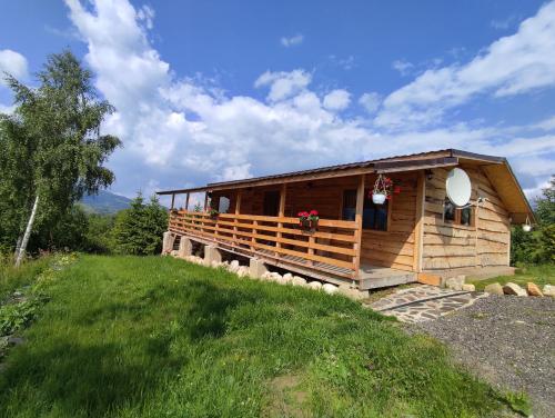 Cabana Doi Mesteceni