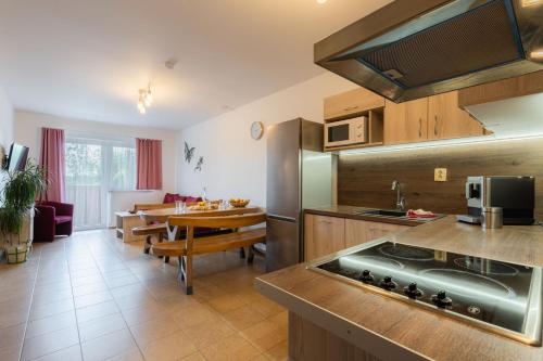 Apartments Nad Rybniky